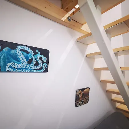 Atlantis Surf 모야